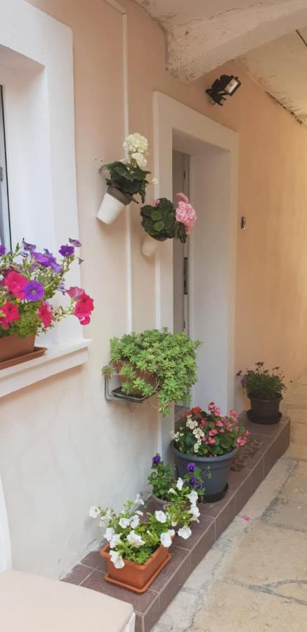 Apartment Asja Old City Center PUY Eksteriør bilde